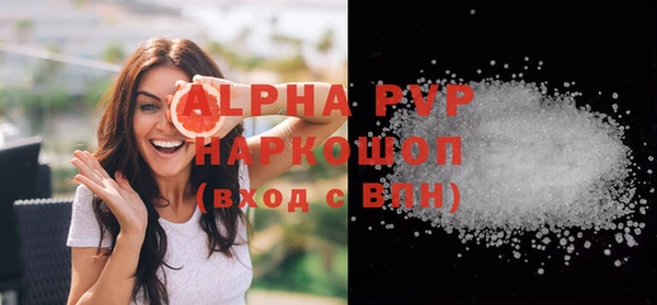 PSILOCYBIN Белокуриха