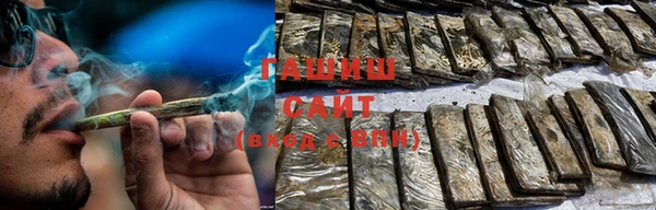 PSILOCYBIN Белокуриха