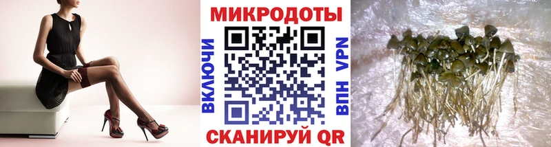 Галлюциногенные грибы прущие грибы  мориарти формула  Усть-Катав 